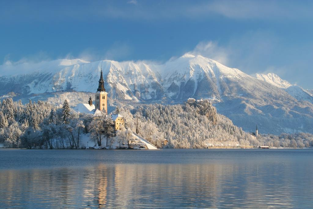 Hotel Ribno Alpine 4*