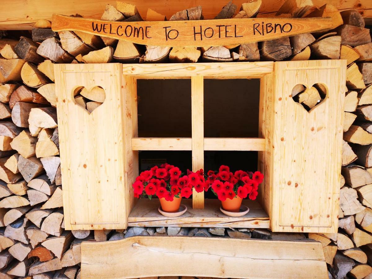 Ribno Alpine Hotel